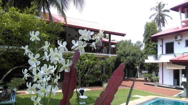 Canal Villa Bentota Exterior photo